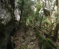 Fotografia de MOTLLATS DE LA PONA, AVENCOTS DELS (5 de 6)
