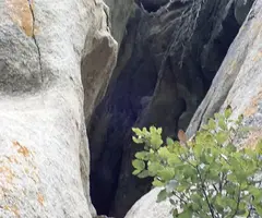 Photograph of PUIG DE LES BALMES, COVA MITJA DEL (2 of 3)