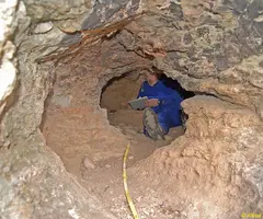 Photographie de ENCLUSA, COVA DE L' (1 sur 2)
