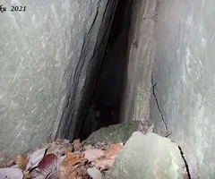 Fotografia de MASALLERA, BORA PETITA D'EN (2 de 2)
