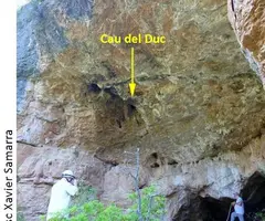Photographie de DUC, COVA DEL (3 sur 5)