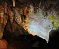 Fotografia de CAN RIGOL Nº 2, COVA DE (7 de 11)