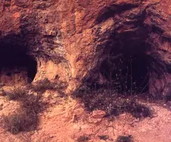 Photographie de FIGUERA, COVA DE LA (1 sur 2)
