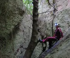 Fotografia de RACÓ DE L'HOSPITAL, COVA DEL (7 de 10)
