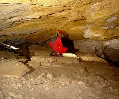 Fotografia de COMA CLOSA SUPERIOR, COVA DE LA (1 de 3)