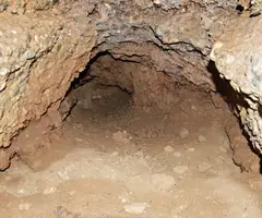 Fotografia de SALVATGES, COVA DE (4 de 4)