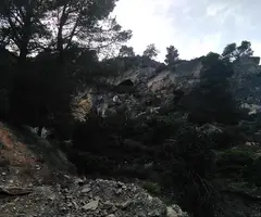 Fotografia de BEATES,  COVA DE LES (1 de 2)