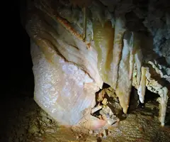 Fotografia de CAN RIGOL Nº 2, COVA DE (6 de 11)