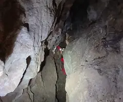 Fotografía de PASSANT DEL FAIG, COVES DEL (6 de 9)