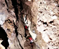 Fotografia de PORREDONS, COVA DE (3 de 4)