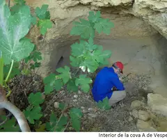 Fotografía de VESPELLA, COVA A DE (2 de 2)