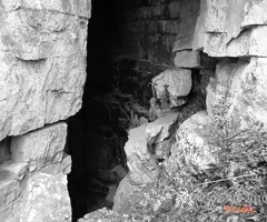 Fotografía de SANT URBÀ, COVA DE (3 de 7)