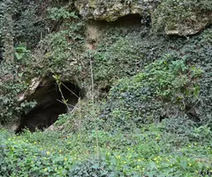 Fotografia de ARBREDA PETITA, COVA DE L' (1 de 1)