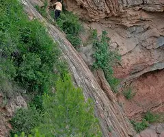 Photographie de PRIM, COVA DEL (1 sur 1)