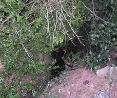 Fotografía de FURGÓ, FORAT 1 DEL (2 de 2)
