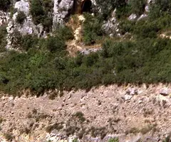 Fotografia de MURICECS, COVA DELS (1 de 18)