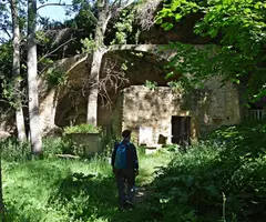 Photograph of RENTADOR DE LA LLANA DEL ROQUER, BALMA DEL (2 of 6)