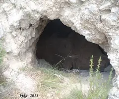 Fotografía de CAPELLA, FORAT DE LA (2 de 5)