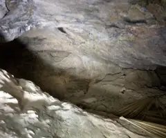 Photographie de CRANI, COVA DEL (4 sur 4)