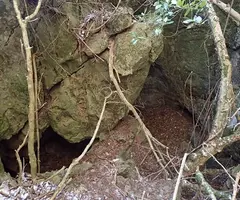 Fotografía de ARNAU, COVA D' (1 de 4)