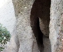 Fotografia de COLUMNA, COVA DE LA (8 de 8)