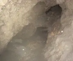 Fotografia de GERBER, COVA DE (4 de 5)