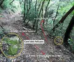 Fotografia de ENDAL, COVA DE L' (1 de 8)