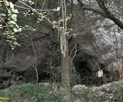 Fotografia de MAS VILAR, COVA DE (1 de 4)