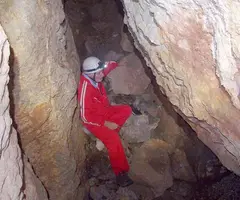 Fotografia de COMTE ARNAU, COVA DEL (4 de 5)