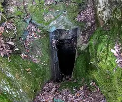 Photograph of GUILLOTERES, COVA DE LES (3 of 3)