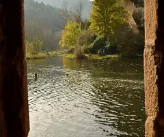 Photographie de MOLÍ DE BROTONS, BALMA DEL (6 sur 6)