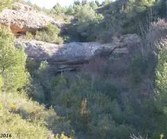 Fotografia de POTAU, COVA DEL (1 de 5)