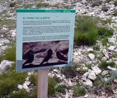 Fotografia de PORT DEL COMTE, BÒFIA DEL (2 de 5)