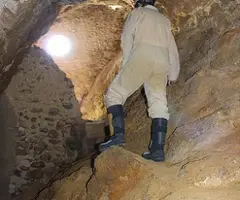 Fotografia de VERGE, COVA DE LA (2 de 4)