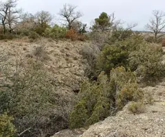 Fotografía de PLA DE PICAMILL, AVENC DEL (1 de 5)