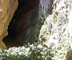 Fotografia de ROIG, FORAT (2 de 6)