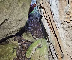 Fotografia de FOU DE BALET, COVES DE LA (8 de 8)