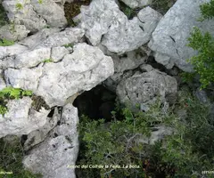 Fotografía de COLL DE LA FERLA, AVENC DEL (1 de 1)