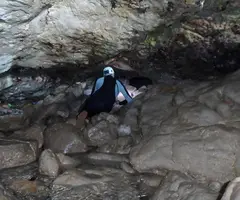 Fotografía de PUNTA DE CALA FORN, COVES DE LA (5 de 8)