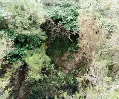 Photograph of HP-6,  AVENC (1 of 1)