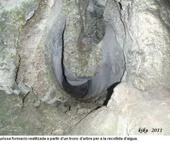 Photograph of NEGRA DE MATA-SOLANA, COVA (7 of 9)