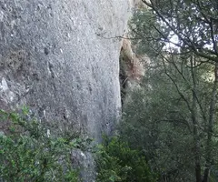 Photograph of ESQUIROL, COVA DE L' (2 of 7)