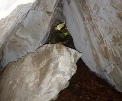 Fotografia de CINGLE DEL BODRO, COVA DEL (2 de 4)
