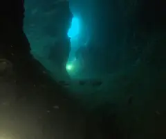 Fotografia de FINESTRA DEL ROMANÍ, COVA DE LA (2 de 4)