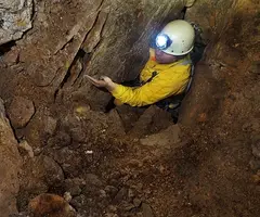 Fotografia de CORBA, BÒFIA DE LA (7 de 12)