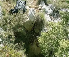 Fotografía de PLA DE SOTS, AVENC DEL (2 de 6)
