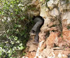 Fotografia de BONICA, COVA (5 de 18)