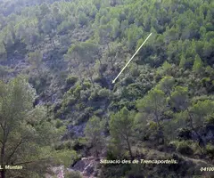 Fotografia de MUSSOLS, AVENC DELS (1 de 2)
