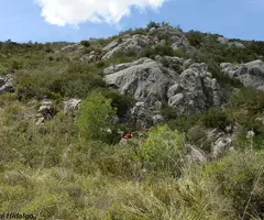 Fotografia de PENYA EMBASSADA, AVENC DE (1 de 8)
