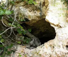 Fotografia de BONICA, COVA (4 de 18)